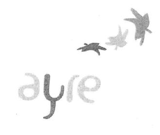 Imagen de AYRE