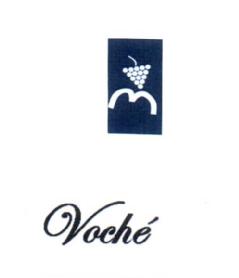 Imagen de VOCHE