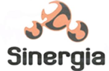 Imagen de SINERGIA