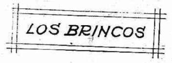 Imagen de LOS BRINCOS