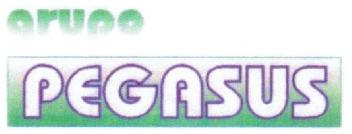 Imagen de GRUPO PEGASUS