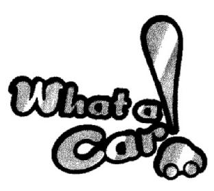 Imagen de WHAT A CAR!