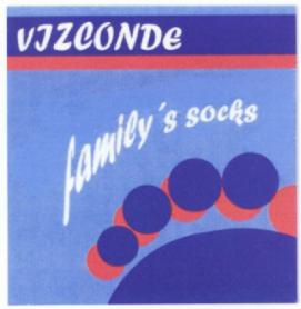 Imagen de VIZCONDE FAMILY\'S SOCKS