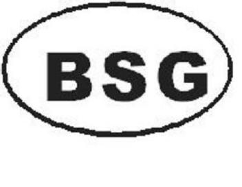 Imagen de BSG