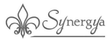 Imagen de SYNERGYA