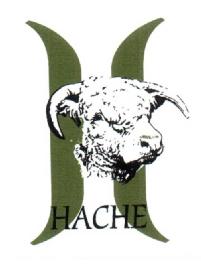 Imagen de HACHE