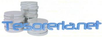 Imagen de TESORERIA.NET