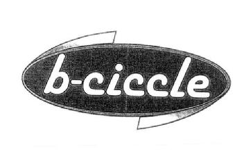Imagen de B-CICCLE