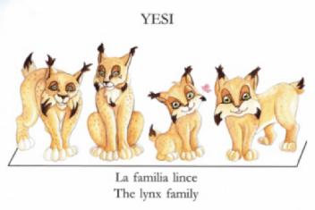 Imagen de YESI LA FAMILIA LINCE THE LYNX FAMILY