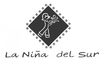 Imagen de LA NIÑA DEL SUR