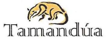 Imagen de TAMANDUA