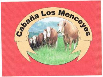 Imagen de CABAÑA LOS MENCEYES