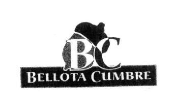 Imagen de BC BELLOTA CUMBRE