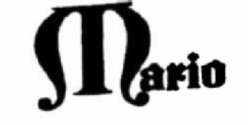 Imagen de MARIO