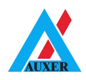 Imagen de AUXER
