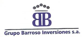 Imagen de GRUPO BARROSO INVERSIONES, S.A