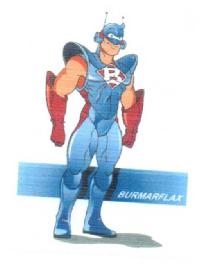 Imagen de BURMARFLAX
