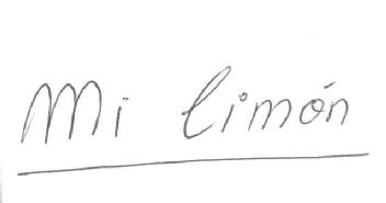 Imagen de MI LIMON