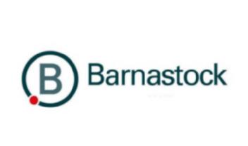 Imagen de B BARNASTOCK