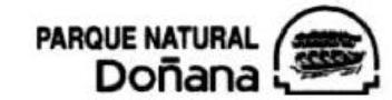 Imagen de PARQUE NATURAL DOÑANA