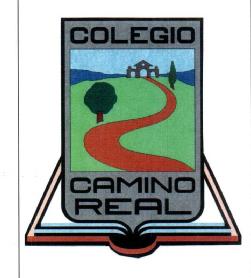 Imagen de COLEGIO CAMINO REAL