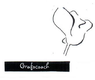Imagen de GRAFOCOACH