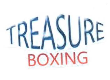 Imagen de TREASURE BOXING