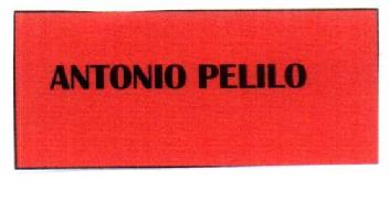 Imagen de ANTONIO PELILO