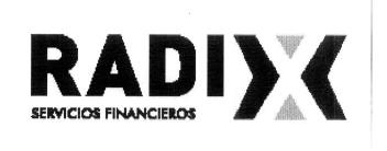 Imagen de RADIX SERVICIOS FINANCIEROS