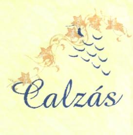 Imagen de CALZAS