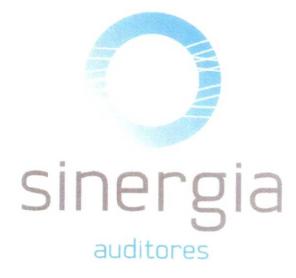 Imagen de SINERGIA AUDITORES