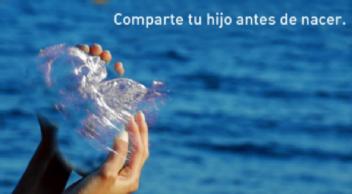 Imagen de COMPARTE TU HIJO ANTES DE NACER
