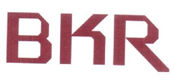 Imagen de BKR