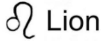 Imagen de LION