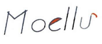 Imagen de MOELLU