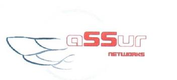 Imagen de ASSUR NETWORKS