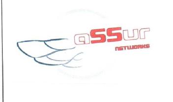 Imagen de ASSUR NETWORKS