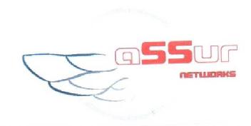 Imagen de ASSUR NETWORKS