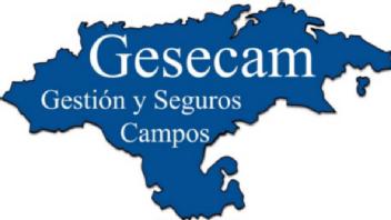 Imagen de GESECAM GESTION Y SEGUROS CAMPOS