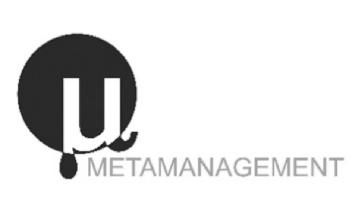 Imagen de METAMANAGEMENT
