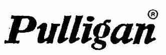 Imagen de PULLIGAN