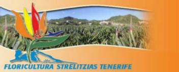 Imagen de FLORICULTURA STRELITZIAS TENERIFE