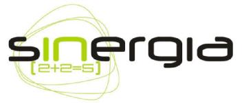 Imagen de SINERGIA 2+2=5
