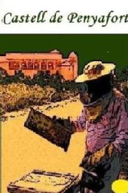 Imagen de CASTELL DE PENYAFORT