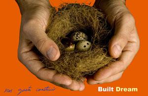 Imagen de BUILT DREAM