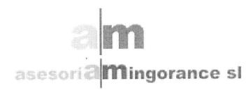 Imagen de AM ASESORIA MINGORANCE SL