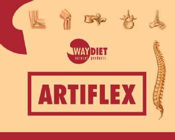 Imagen de WAY DIET NATURAL PRODUCTS ARTIFLEX
