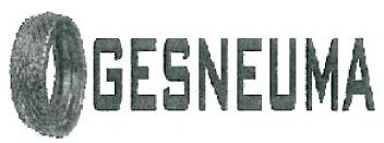 Imagen de GESNEUMA