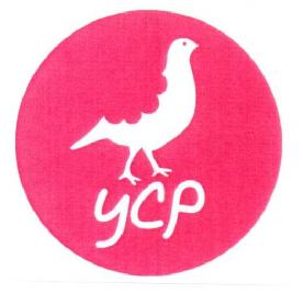 Imagen de YCP