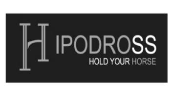 Imagen de HIPODROSS HOLD YOUR HORSE